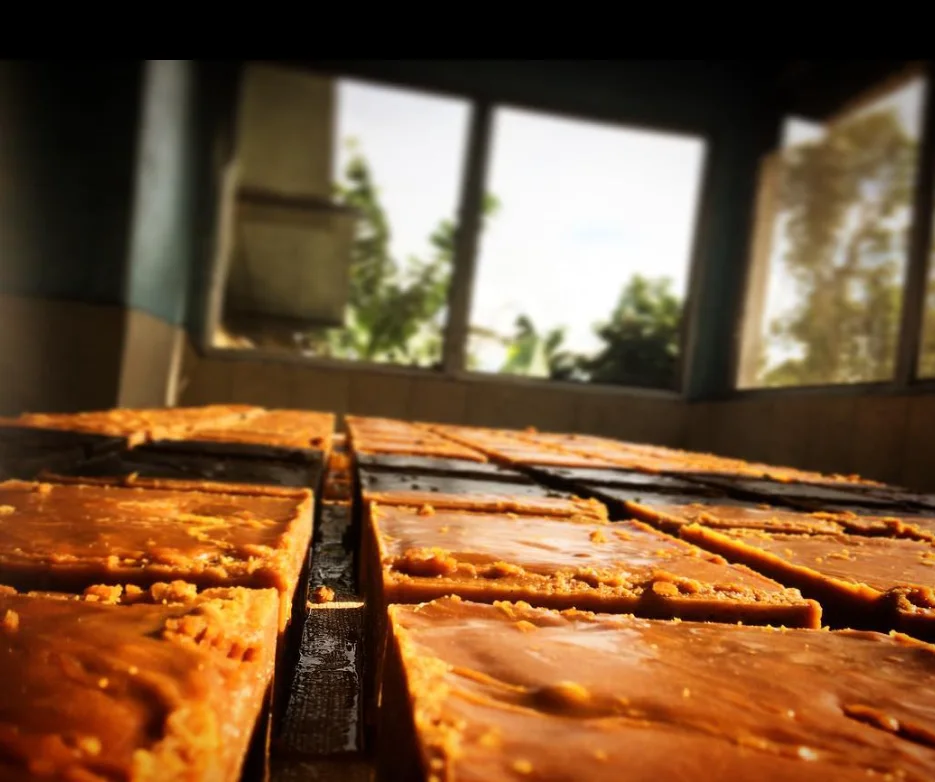 Panela in molds, seen at table level and lit by a window.